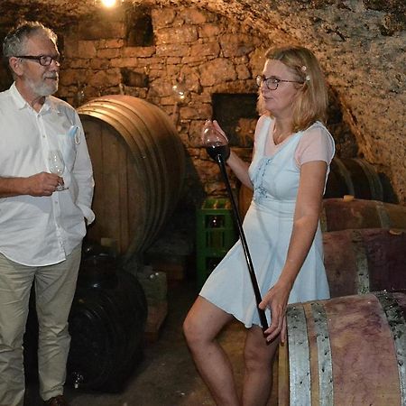 Rodinne Vinarstvi Mikulenkovi Velke Zernoseky Bagian luar foto